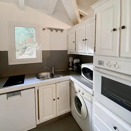 Les Terrasses De Scalegiu 別荘 *