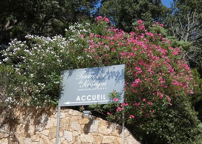 بيت للعطل Les Terrasses De Scalegiu *