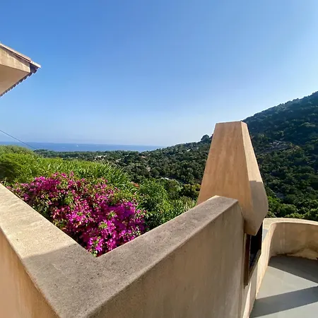 Semesterbostad Les Terrasses De Scalegiu Porto-Vecchio (Corsica)