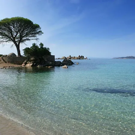 Les Terrasses De Scalegiu * Porto-Vecchio (Corsica)