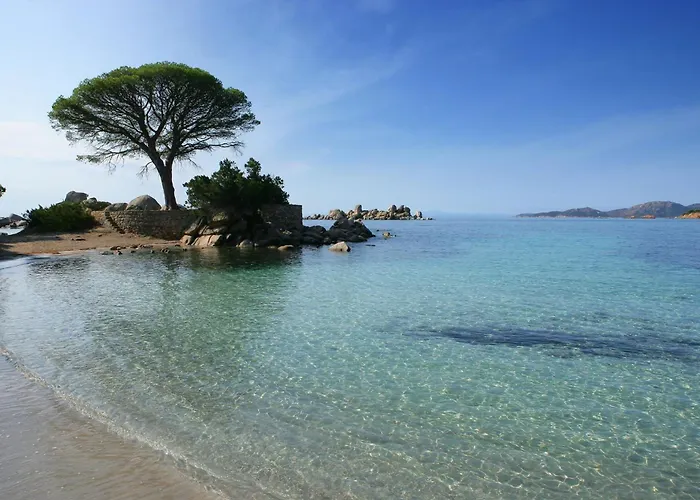 Les Terrasses De Scalegiu * Porto-Vecchio (Corsica)